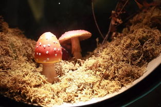 市委書記赴浙江考察 5天走訪5市,宜昌代表團學到了什么好經(jīng)驗